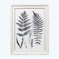 Youngs Wood Framed Botanical Wall Art 11575